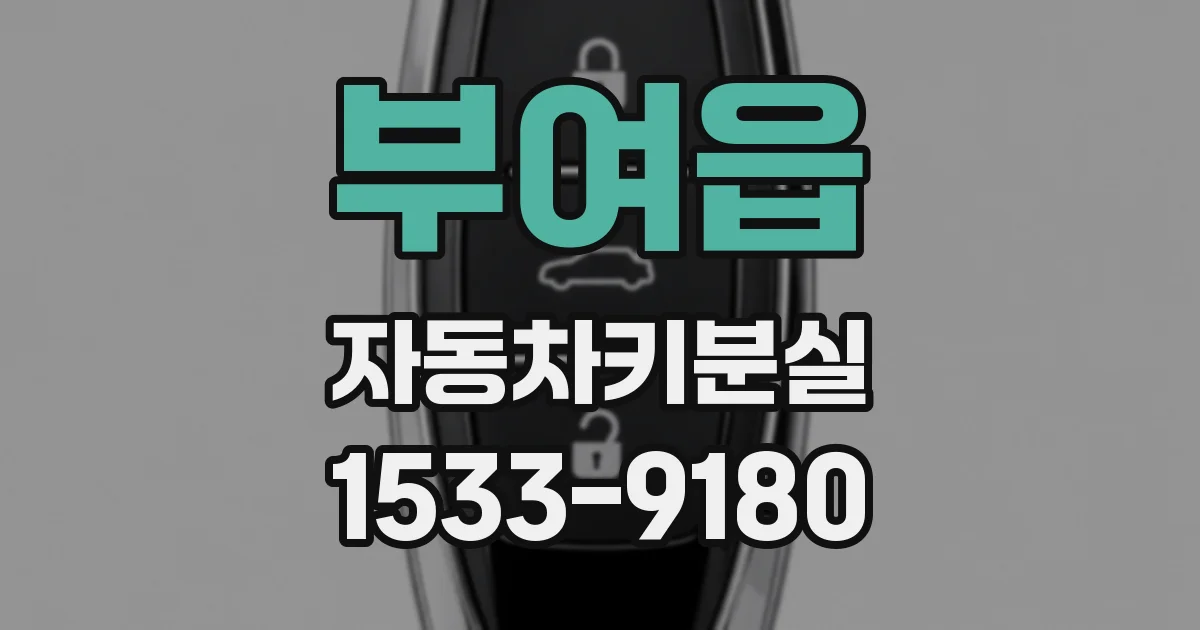 부여읍 자동차키분실