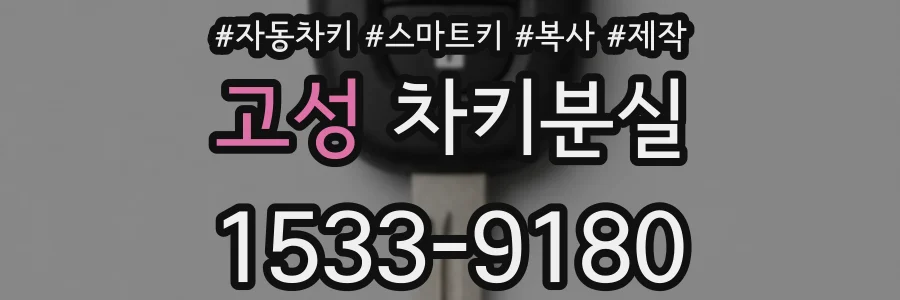 고성 차키분실