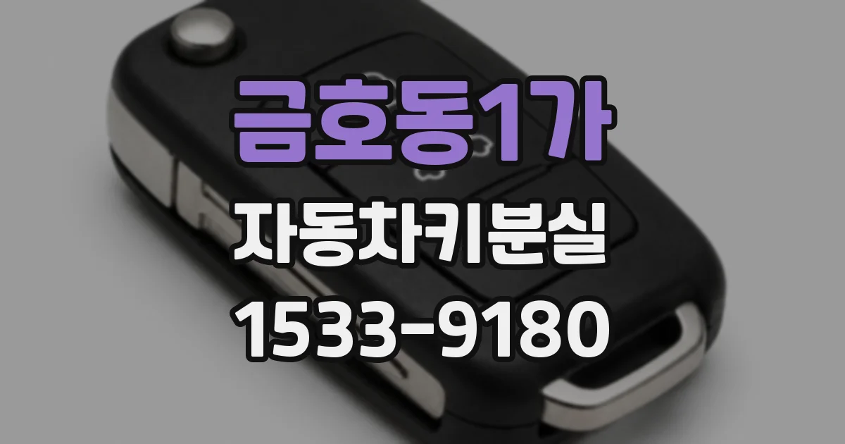 금호동1가 자동차키분실