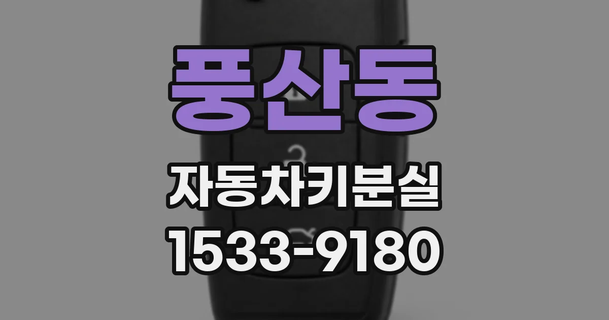 풍산동 자동차키분실