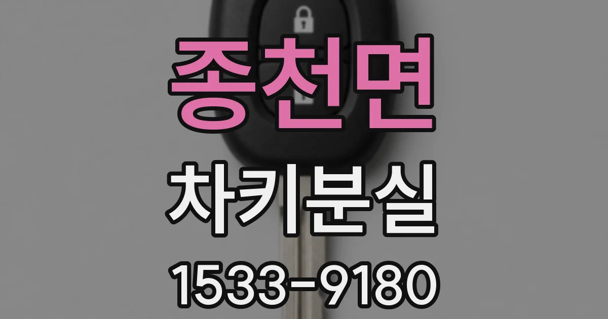 종천면 차키분실