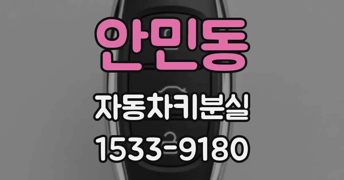 안민동 자동차키분실