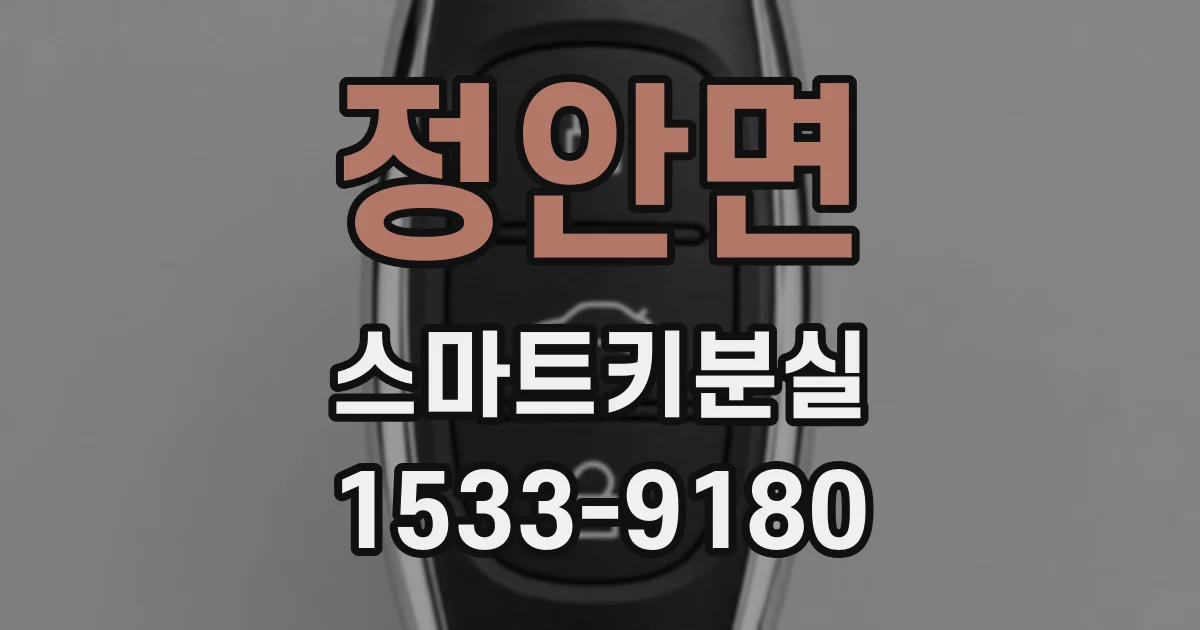 정안면 스마트키분실