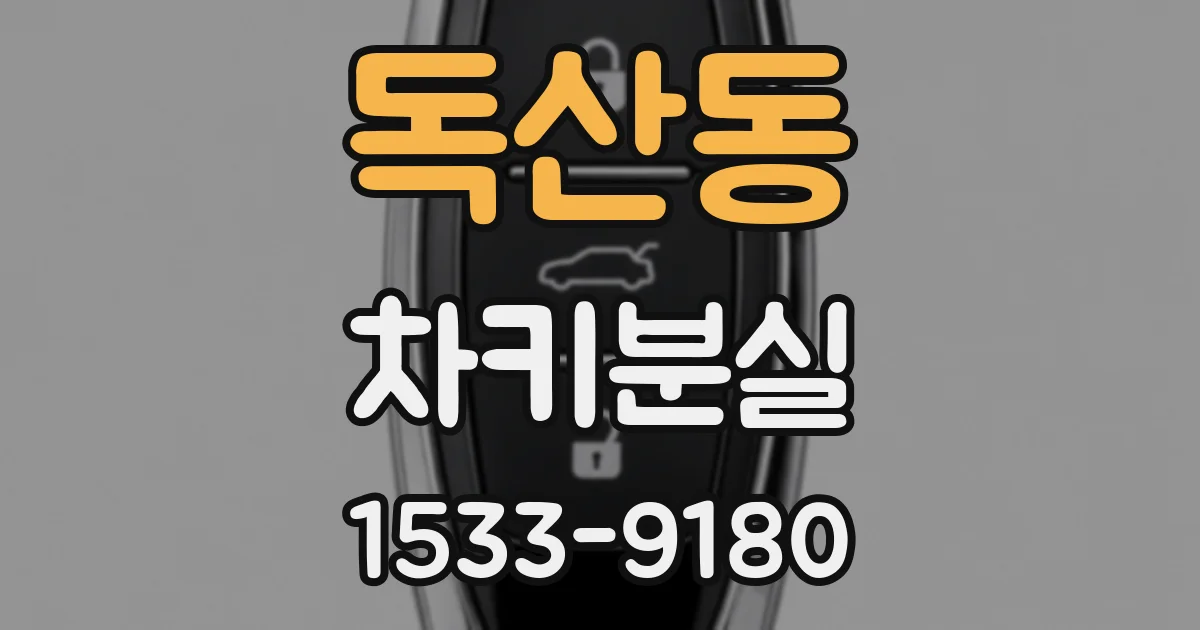 독산동 차키분실