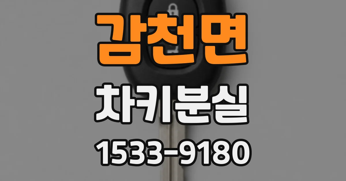 감천면 차키분실
