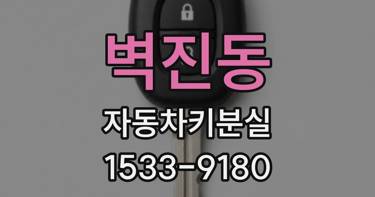 벽진동 자동차키분실