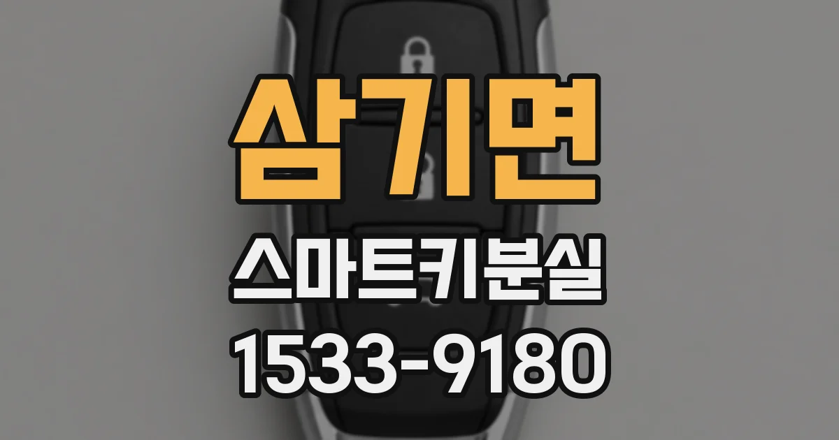 삼기면 스마트키분실