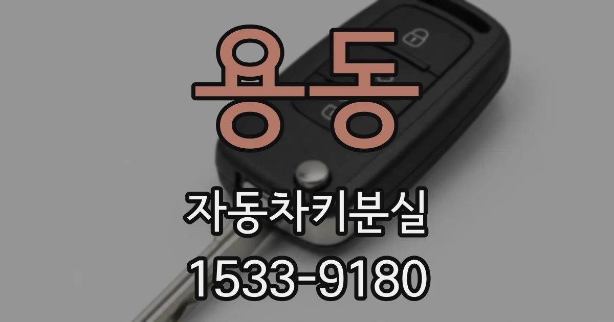 용동 자동차키분실