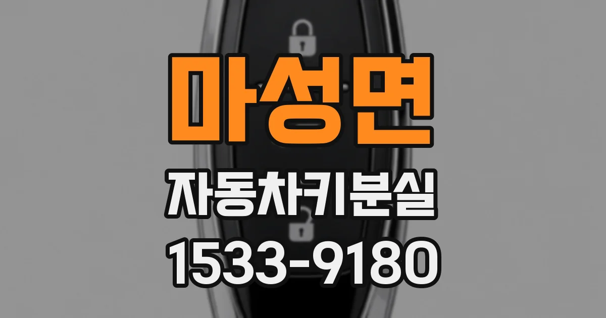 마성면 자동차키분실
