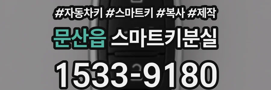 문산읍 스마트키분실