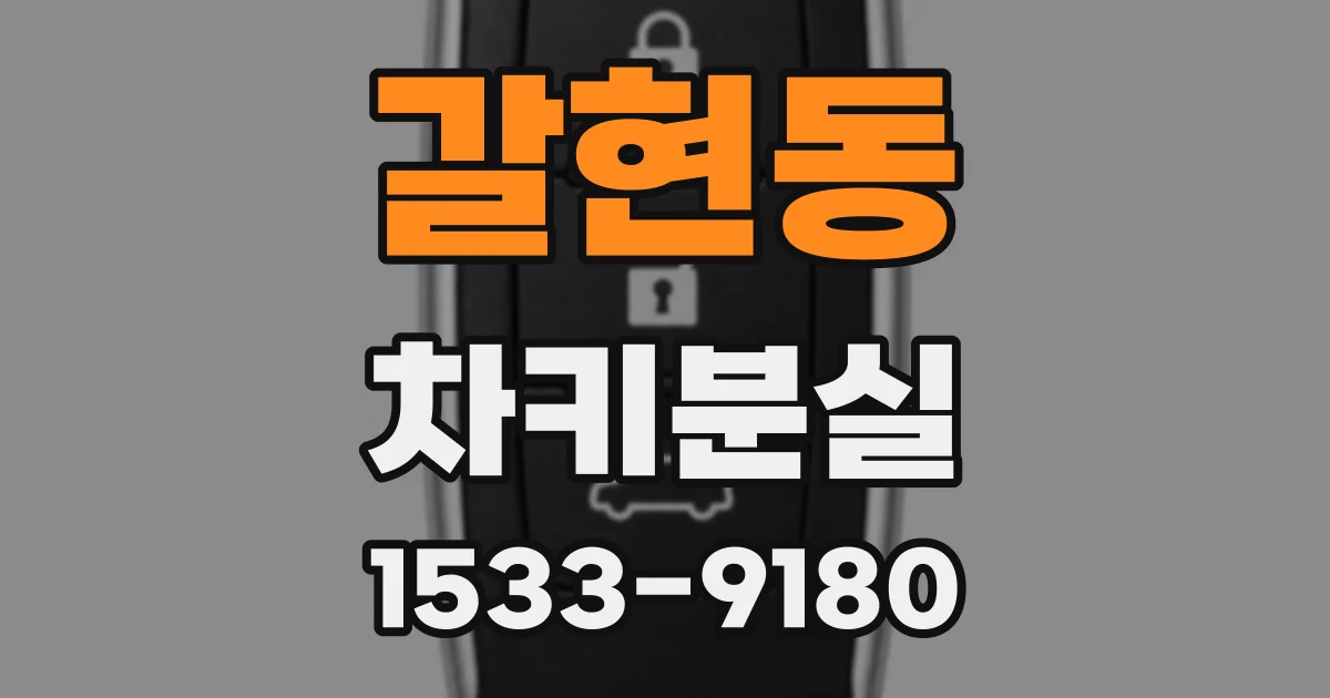 갈현동 차키분실