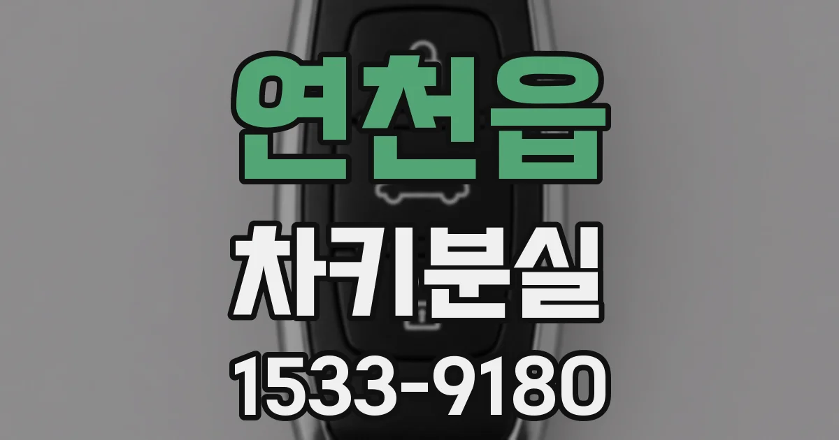 연천읍 차키분실
