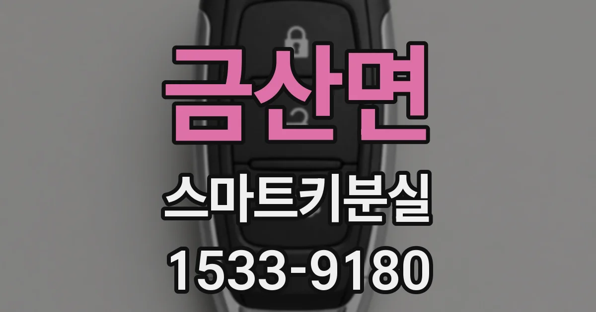 금산면 스마트키분실