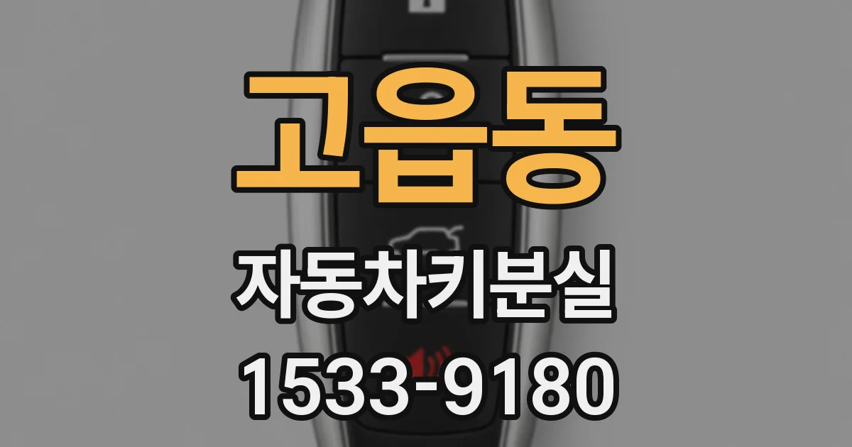 고읍동 자동차키분실