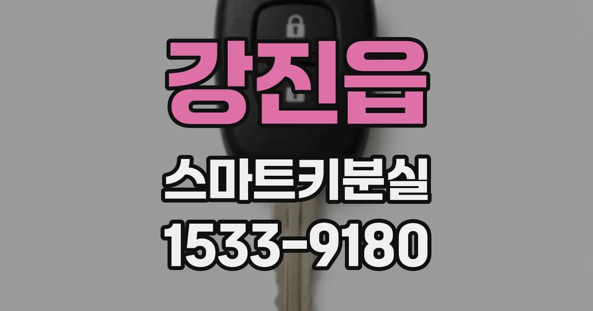 강진읍 스마트키분실
