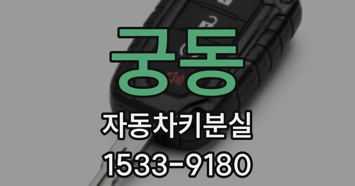 궁동 자동차키분실