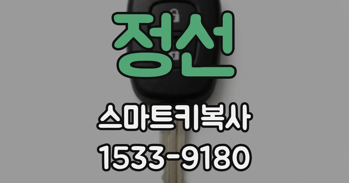 정선 스마트키복사