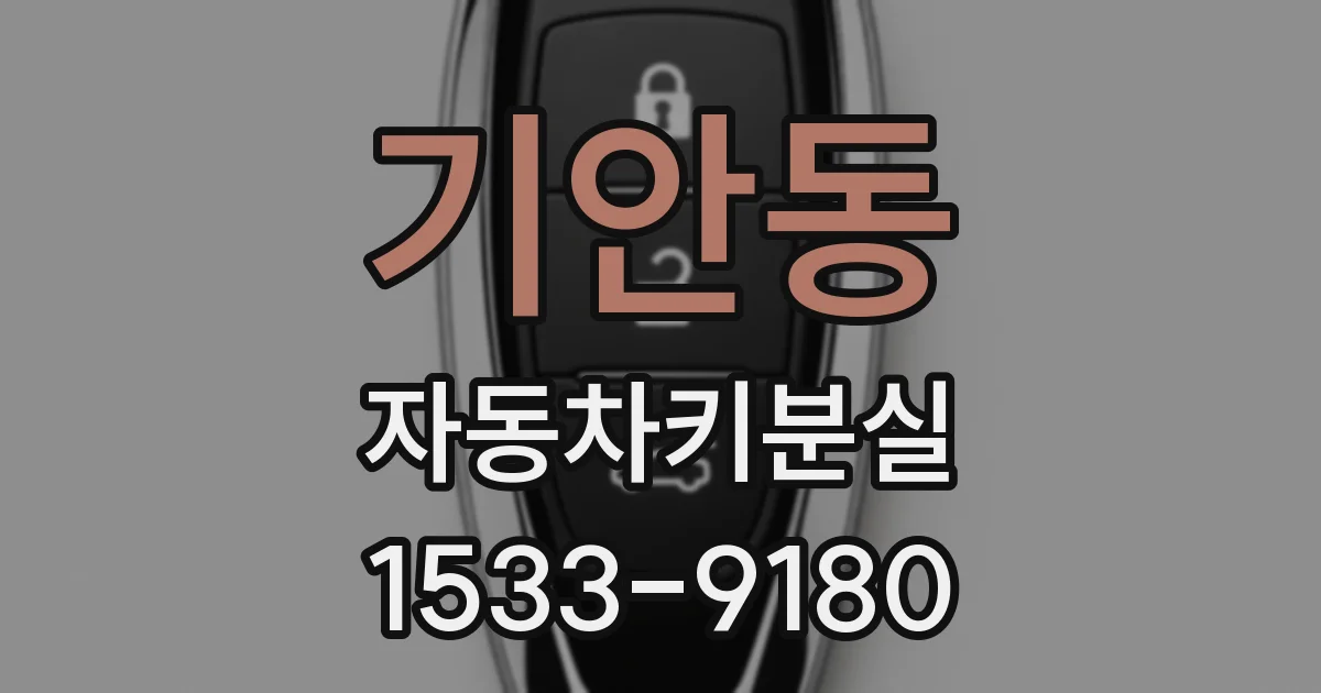 기안동 자동차키분실