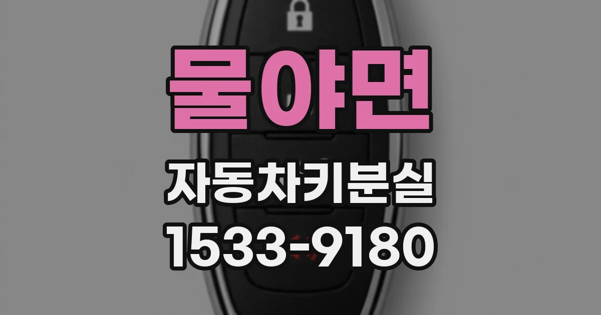 물야면 자동차키분실