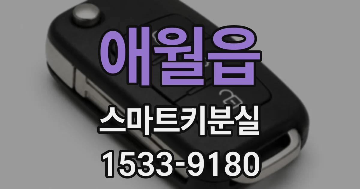 애월읍 스마트키분실
