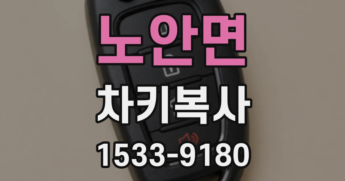 노안면 차키복사