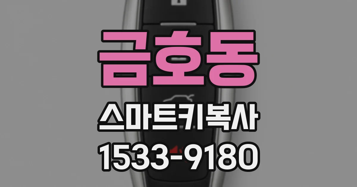 금호동 스마트키복사