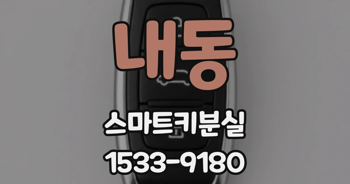 내동 스마트키분실