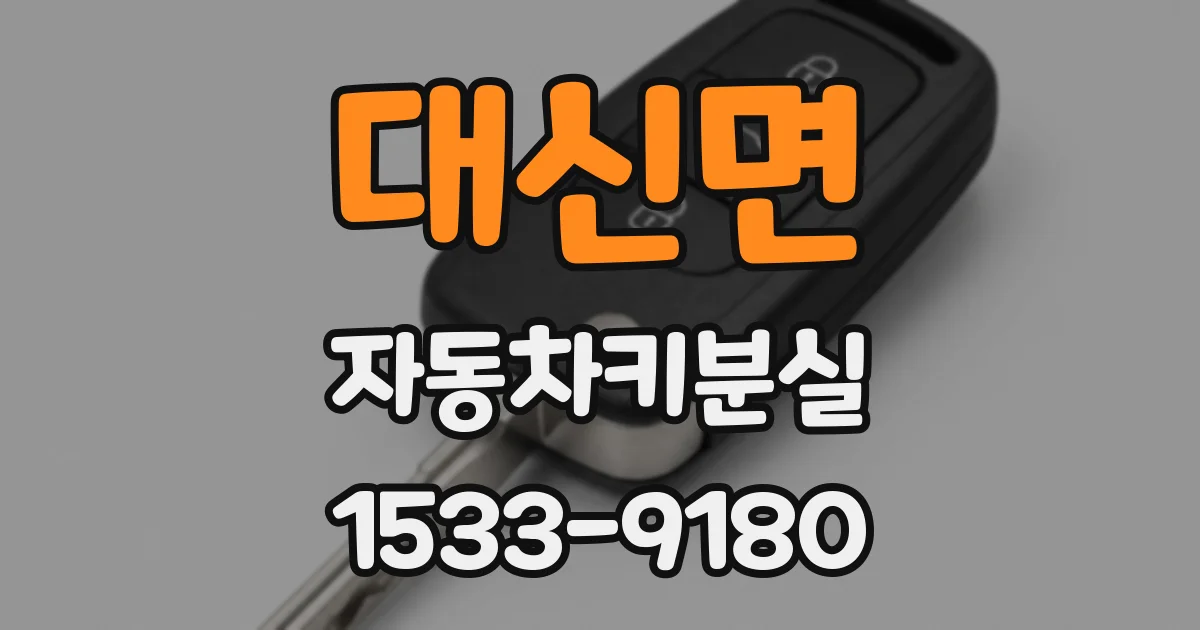 대신면 자동차키분실