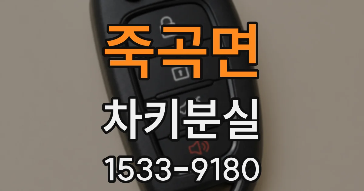 죽곡면 차키분실