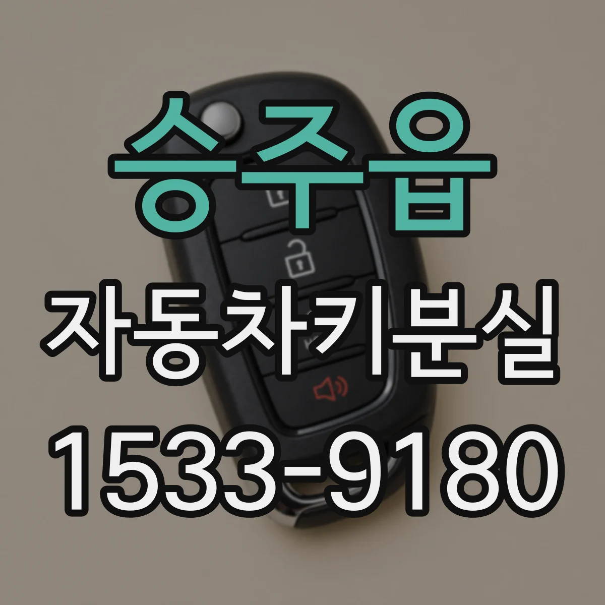 승주읍 자동차키분실