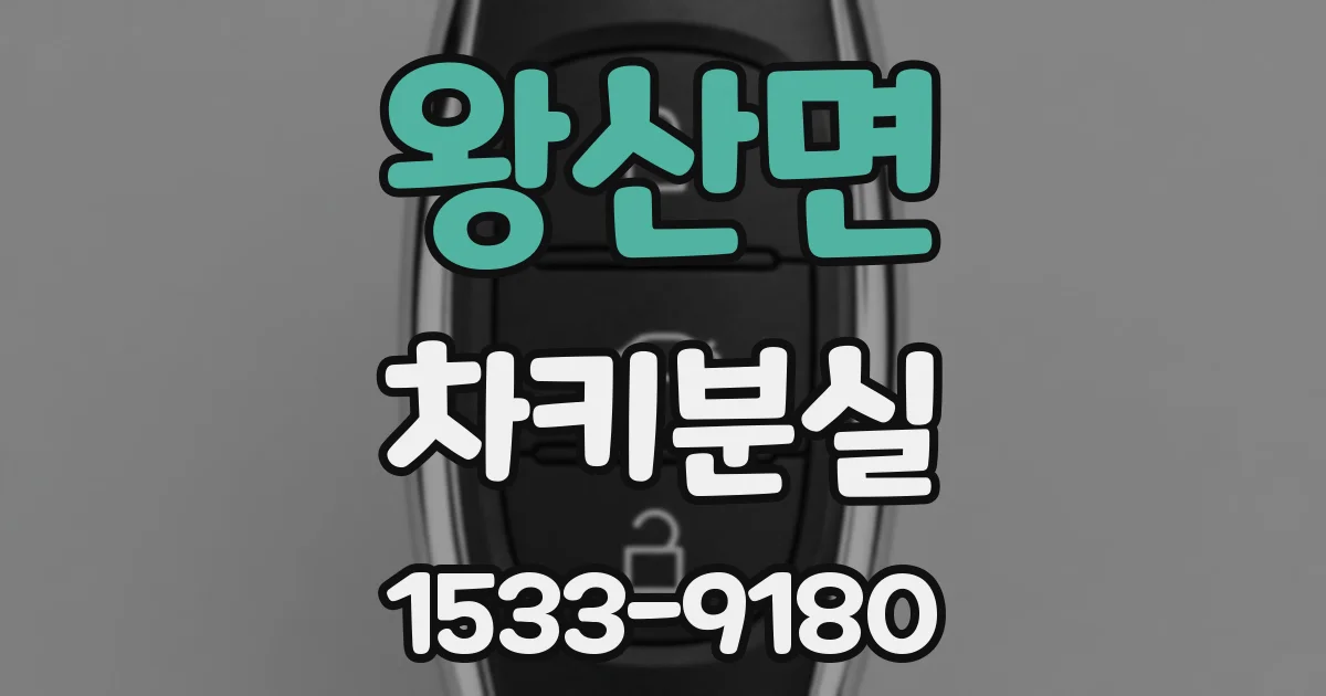 왕산면 차키분실