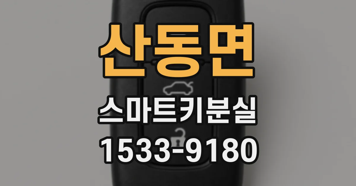 산동면 스마트키분실