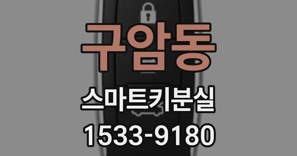 구암동 스마트키분실