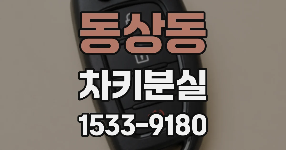 동상동 차키분실