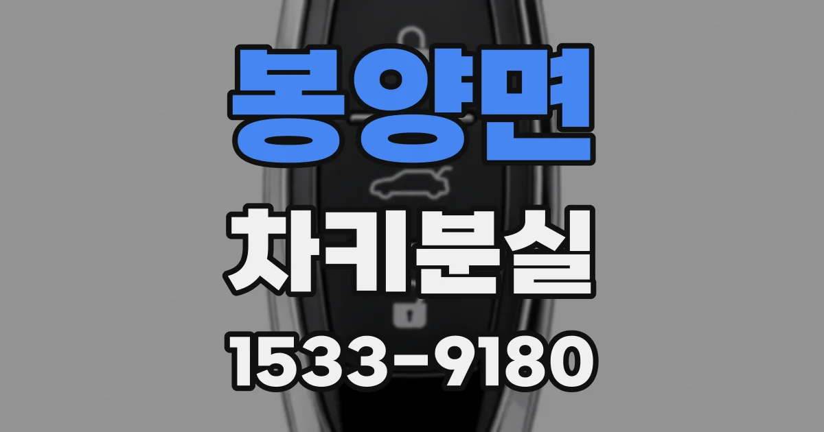 봉양면 차키분실