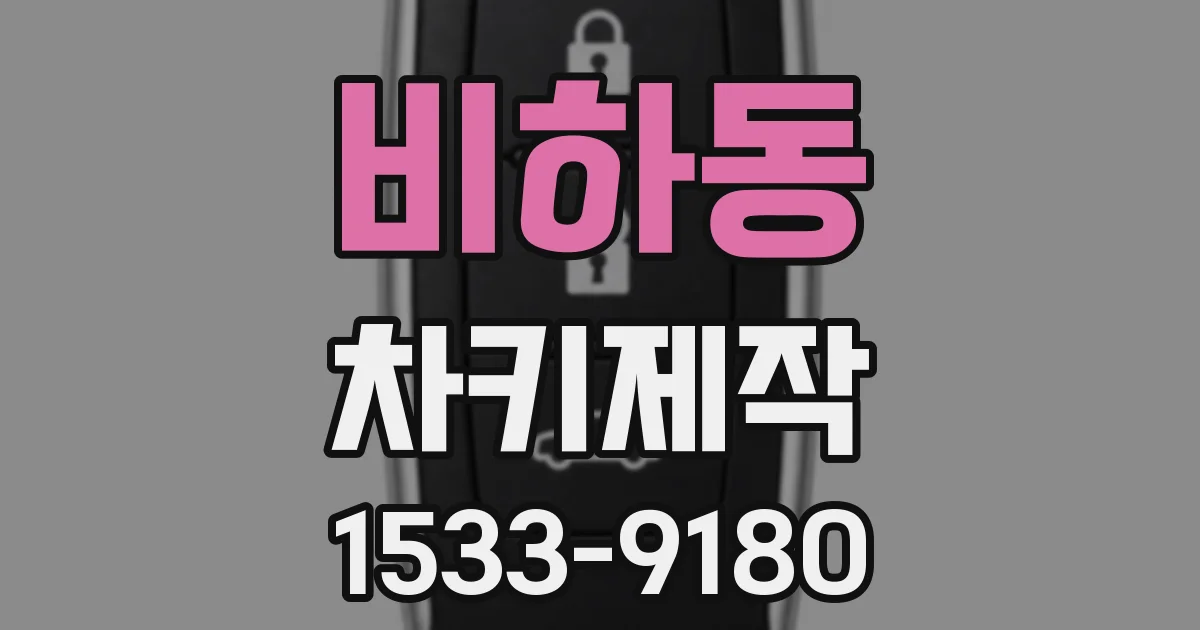 비하동 차키제작