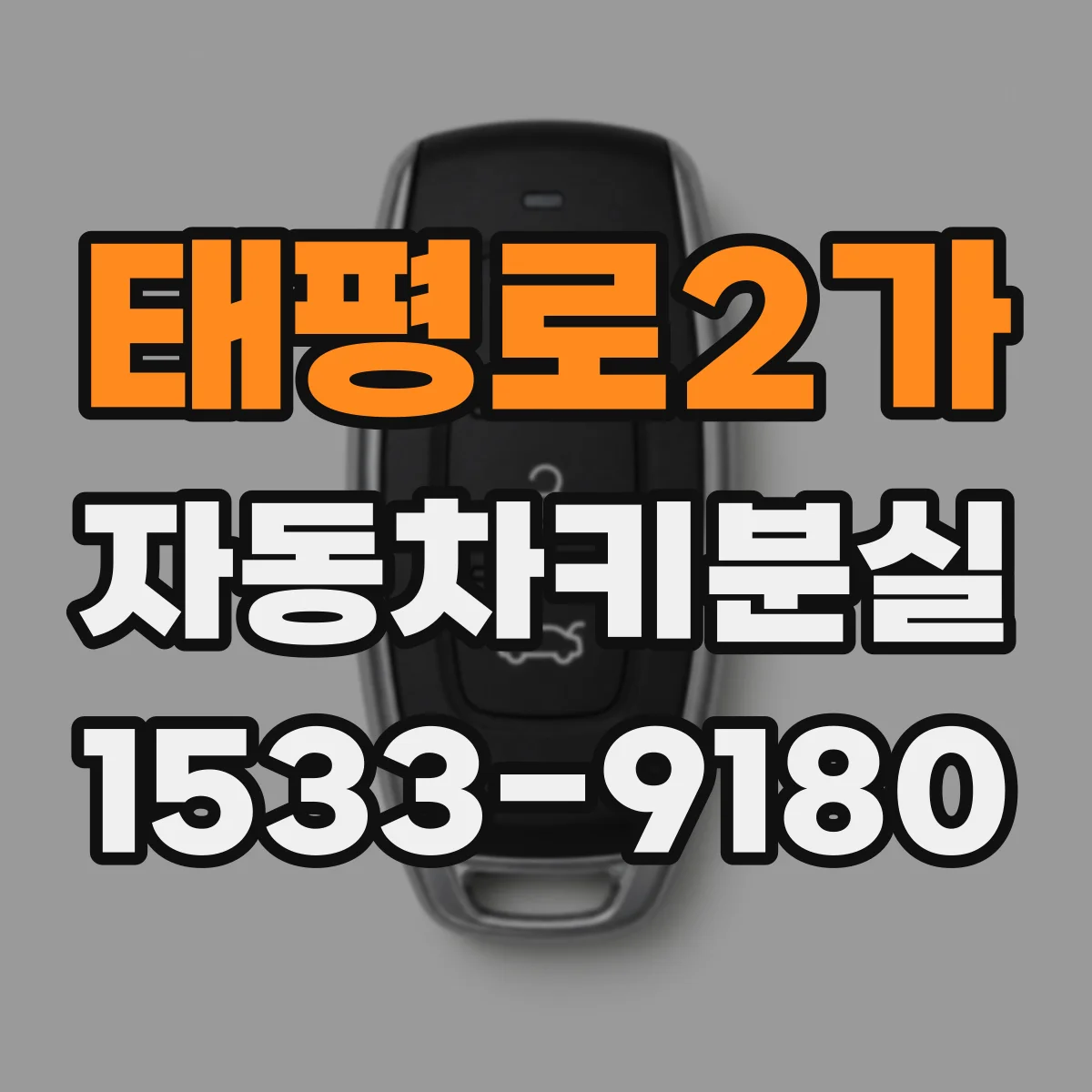 태평로2가 자동차키분실