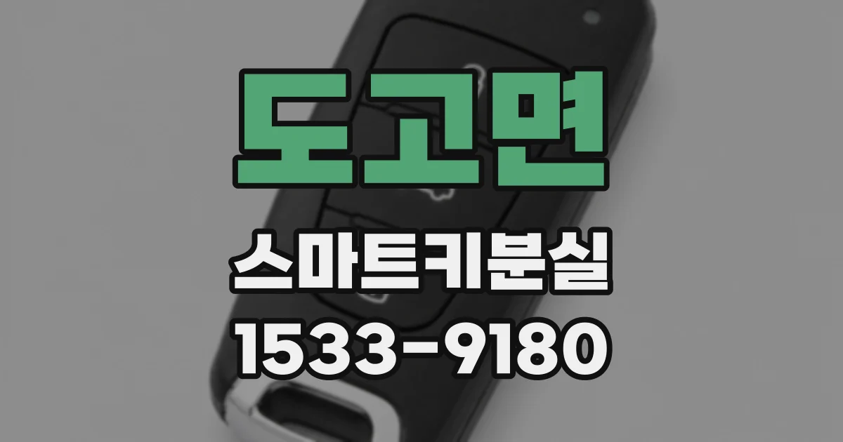 도고면 스마트키분실
