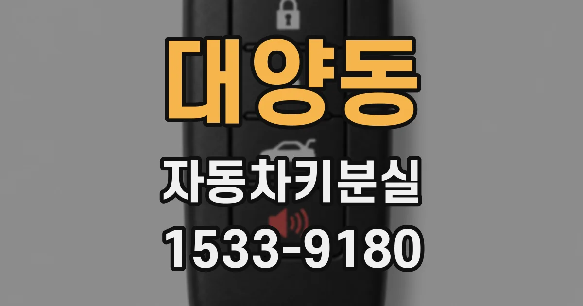 대양동 자동차키분실