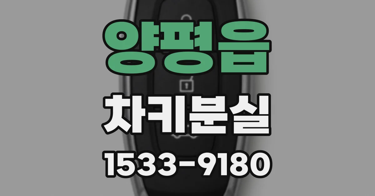 양평읍 차키분실