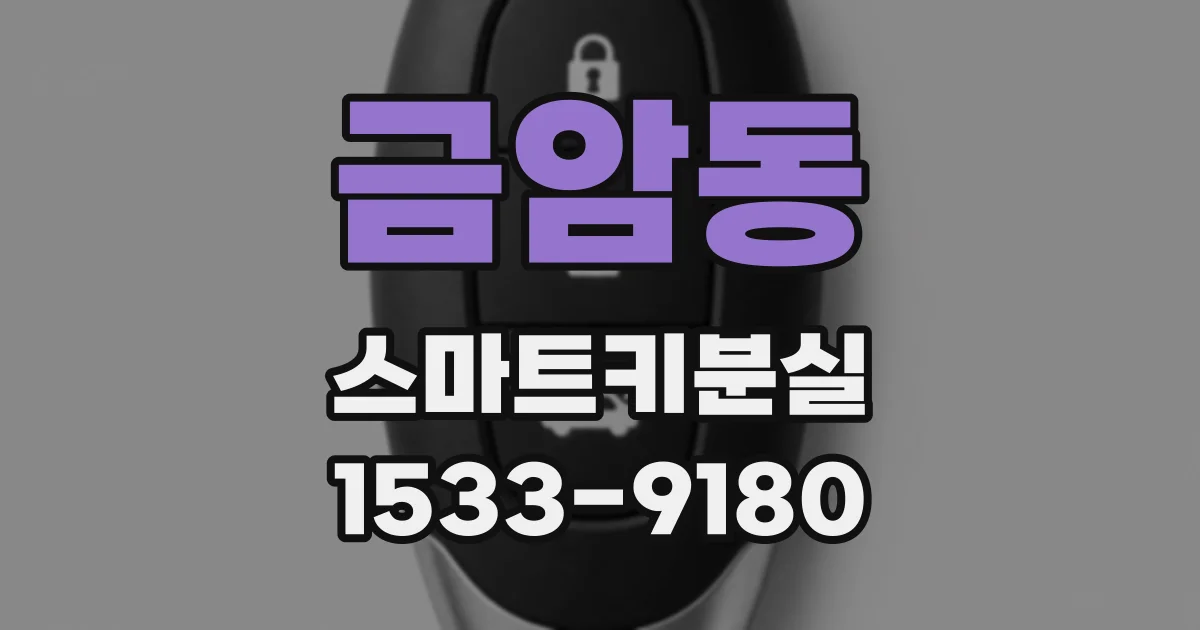 금암동 스마트키분실