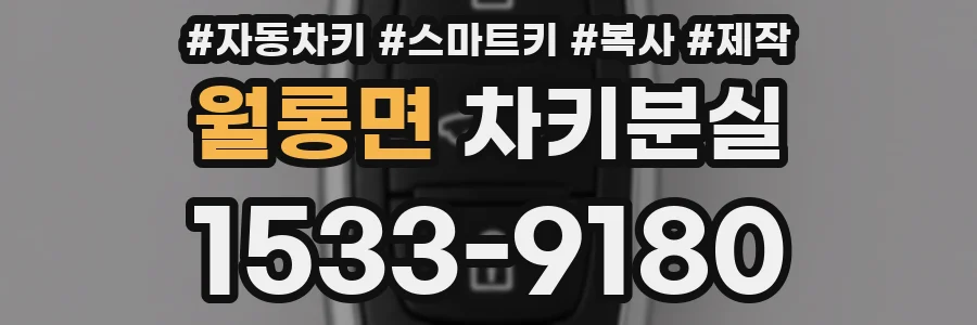 월롱면 차키분실