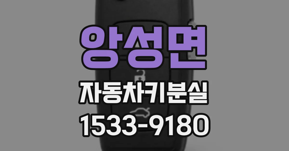 앙성면 자동차키분실