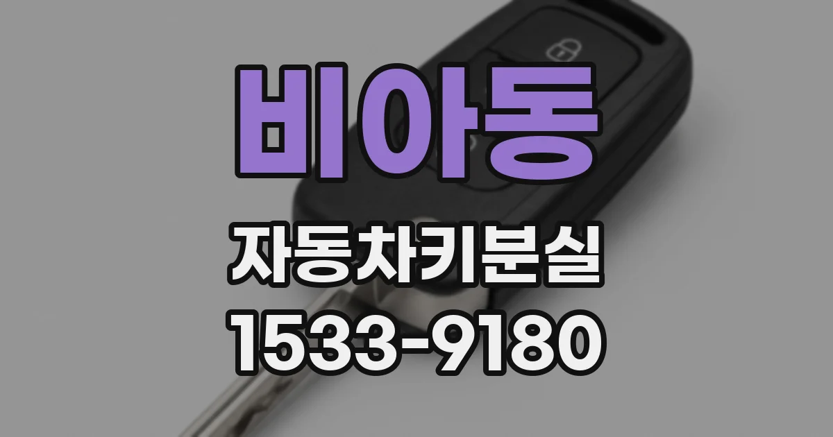비아동 자동차키분실
