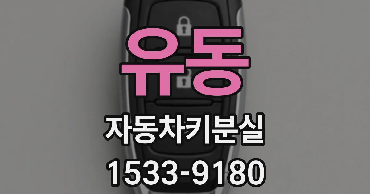 유동 자동차키분실
