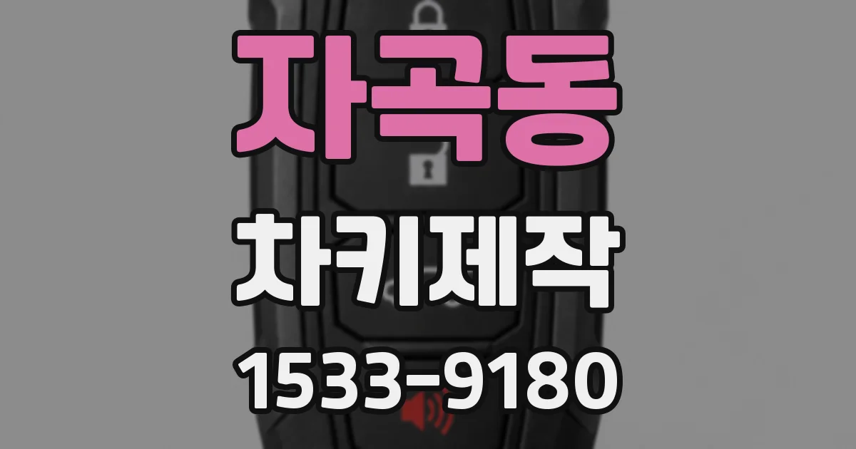 자곡동 차키제작