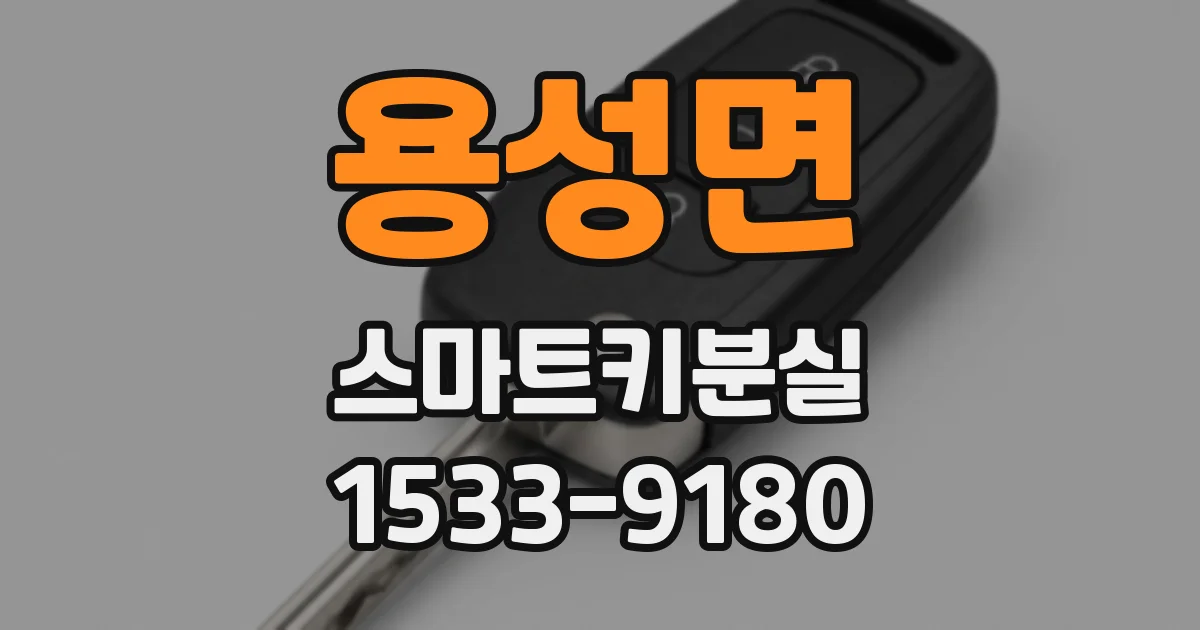 용성면 스마트키분실