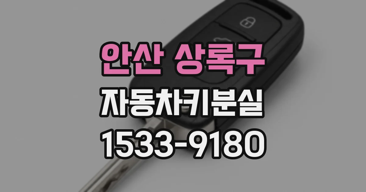 안산 상록구 자동차키분실