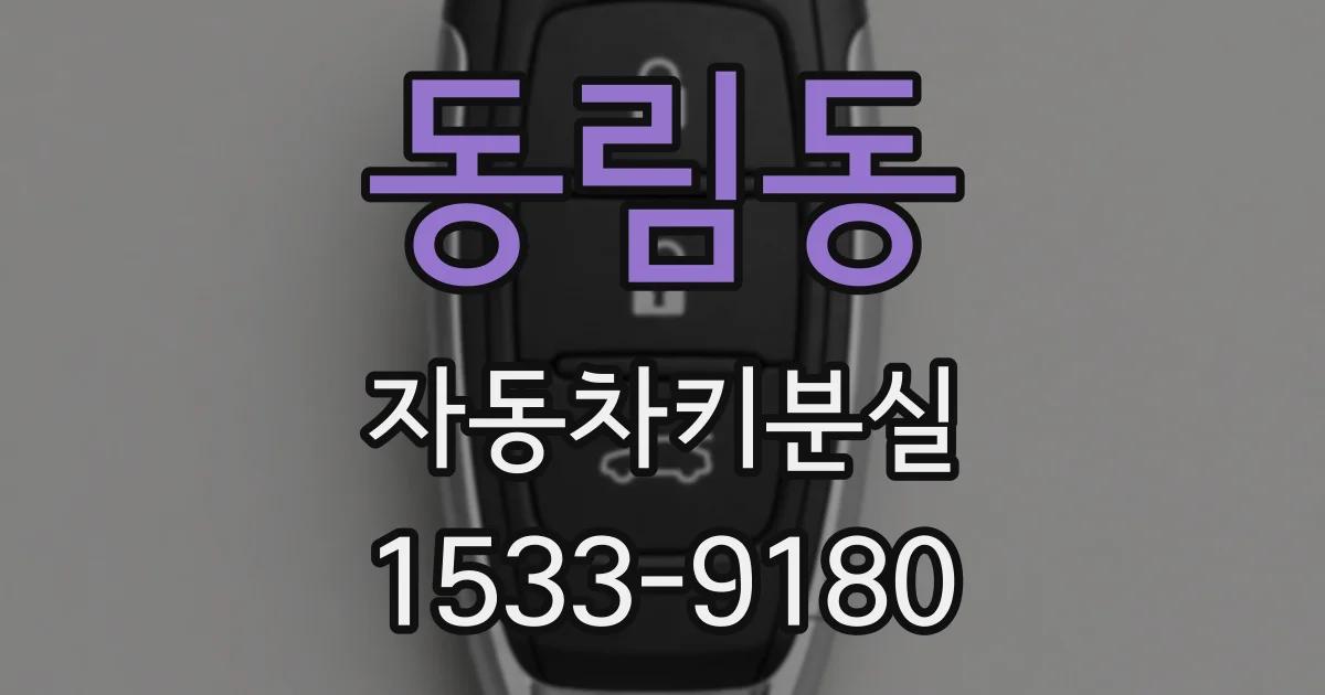 동림동 자동차키분실