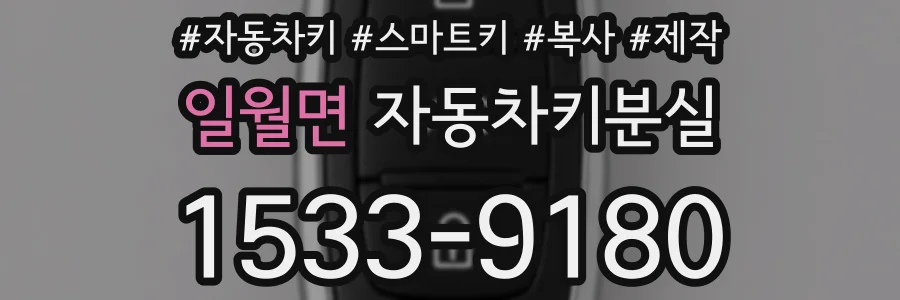 일월면 자동차키분실
